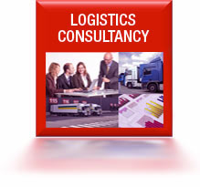 Logistics Consultancy